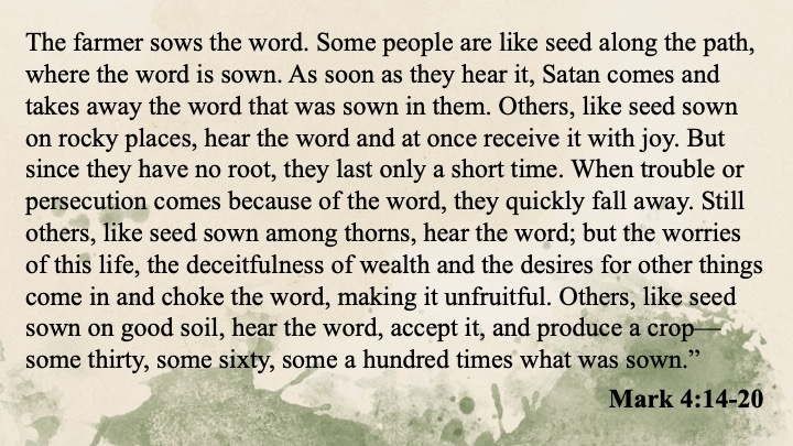 Mark 4 Parable of the Sower Sermon – Manly Life Church